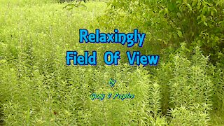 Relaxingly Field Of View