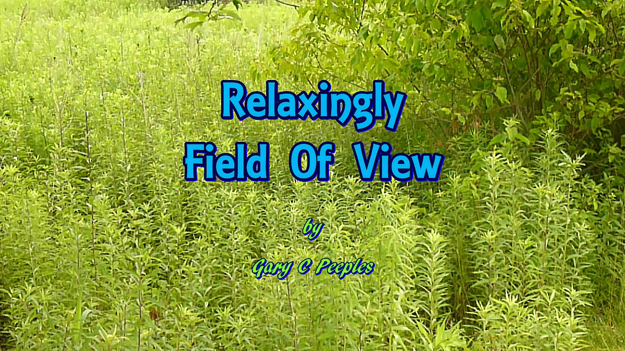 Relaxingly Field Of View