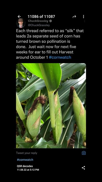 Aluminum in the soils