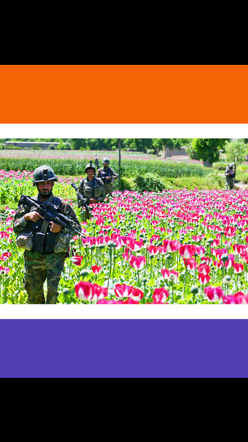 The Taliban Bans Poppy Cultivation