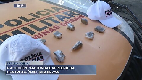 Fralda "Cheia": Mau Cheiro Maconha é Apreendida dentro de Ônibus na BR-259.