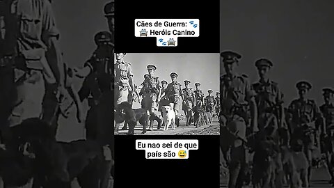 Polícia Militar - Cães de Guerra #war #guerra #ww2