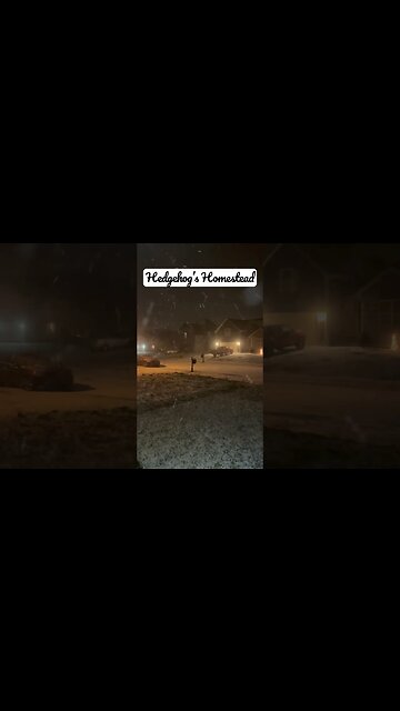 Snowstorm, Clarksville Tennessee,