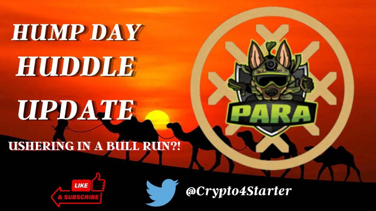 BULL RUN INCOMING?! PARA 6 29 HUMP DAY HUDDLE UPDATE! NFTS DAG BRIDGE