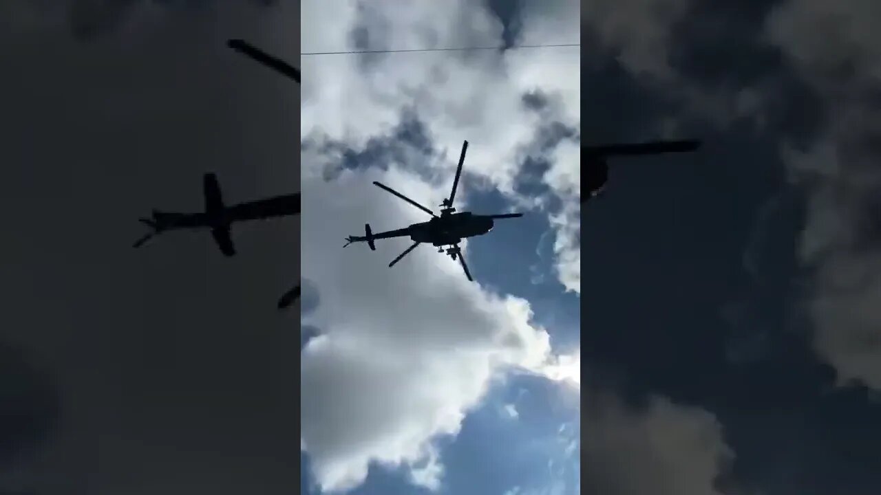 Flew, handsome Z
