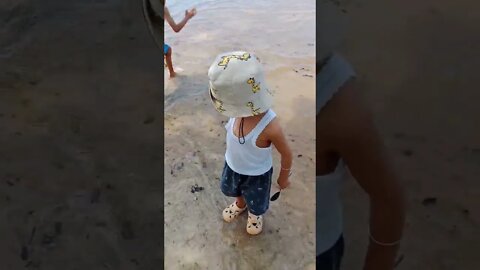 kids playing beach#shorts #short #shortvideo #beach #childrensday #children