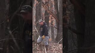 Moving deer where you want them #deer #deerhunting #shorts #biology