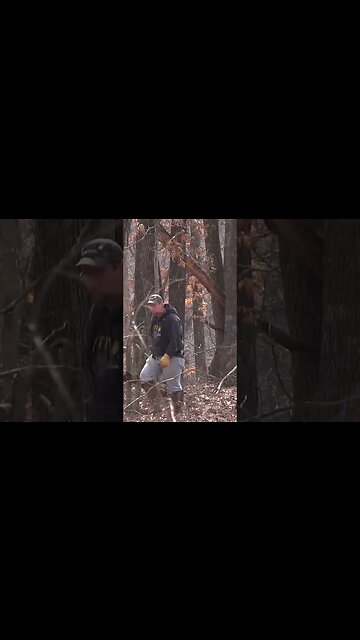 Moving deer where you want them #deer #deerhunting #shorts #biology