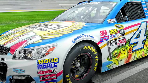 Busch Fish Car at GEICO 500 at Talladega