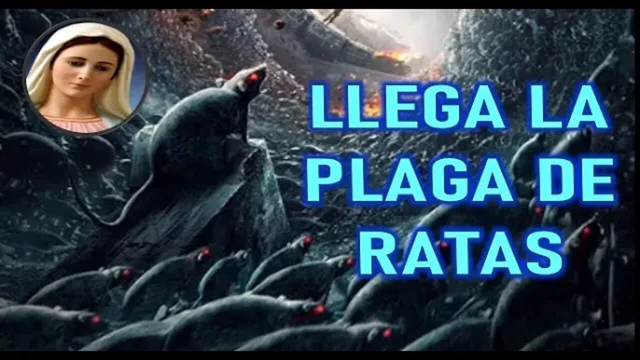 LLEGA LA PLAGA DE RATAS - MARIA SANTISIMA A LUZ DE MARIA