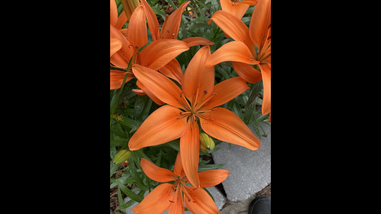 Talk to it, not about it – 6