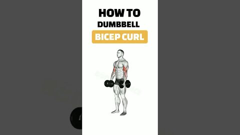 How To DUMBBELL BICEP CURL #short #shorts #shortvideo #ytshorts #fitness #gym