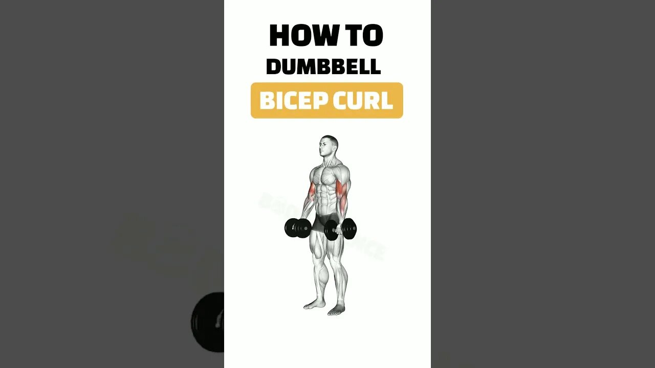 How To DUMBBELL BICEP CURL #short #shorts #shortvideo #ytshorts #fitness #gym