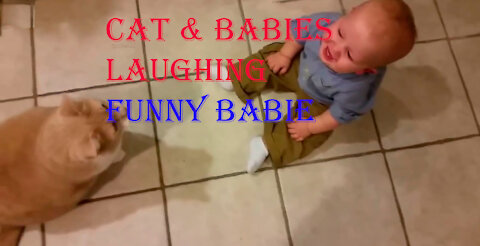 Cat and babies laughing video funny babies