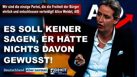 AfD sind die, die die Freiheit der Bürger ehrlich und entschlossen verteidigt! Alice Weidel, AfD