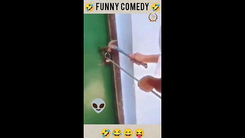 funny videos🤣🤣