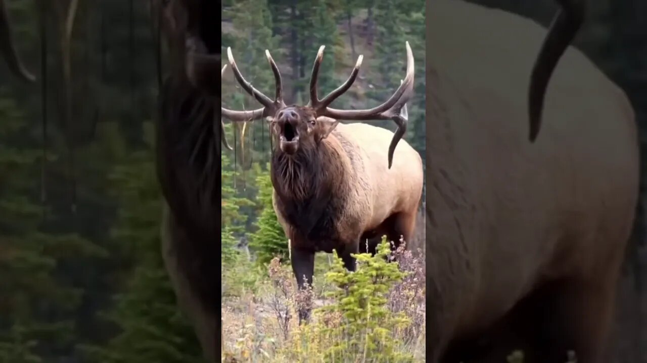 The sound of September
