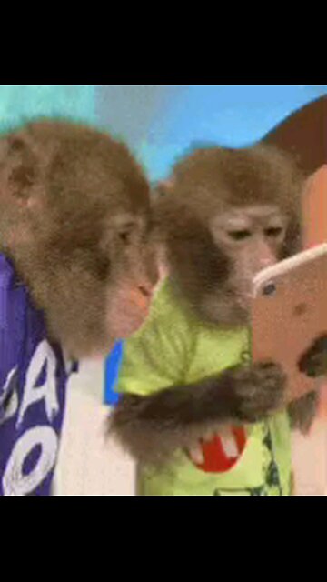 BEWARE CALLS FROM AREA CODE 234