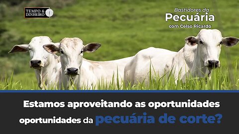 Celso Ricardo: estamos aproveitando as oportunidades de mercado para o agronegócio?
