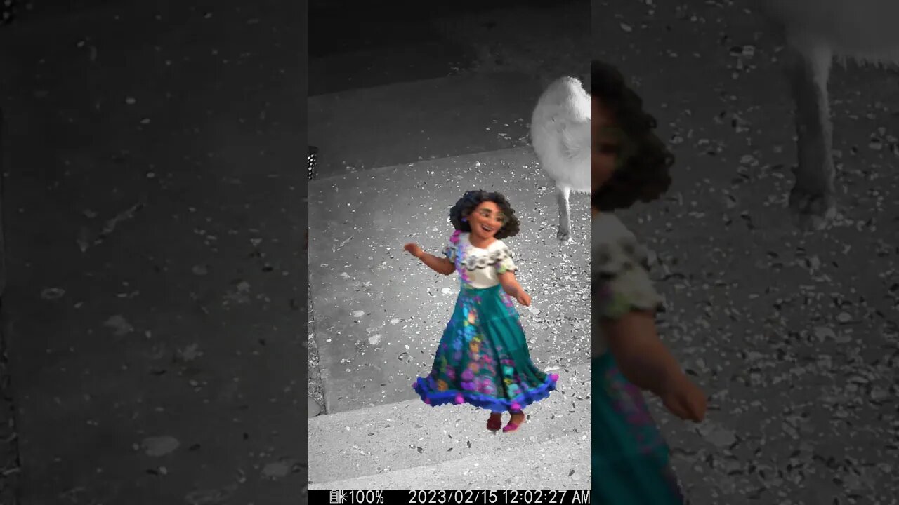 Mirabel Dances On My Porch! #Shorts 🎸