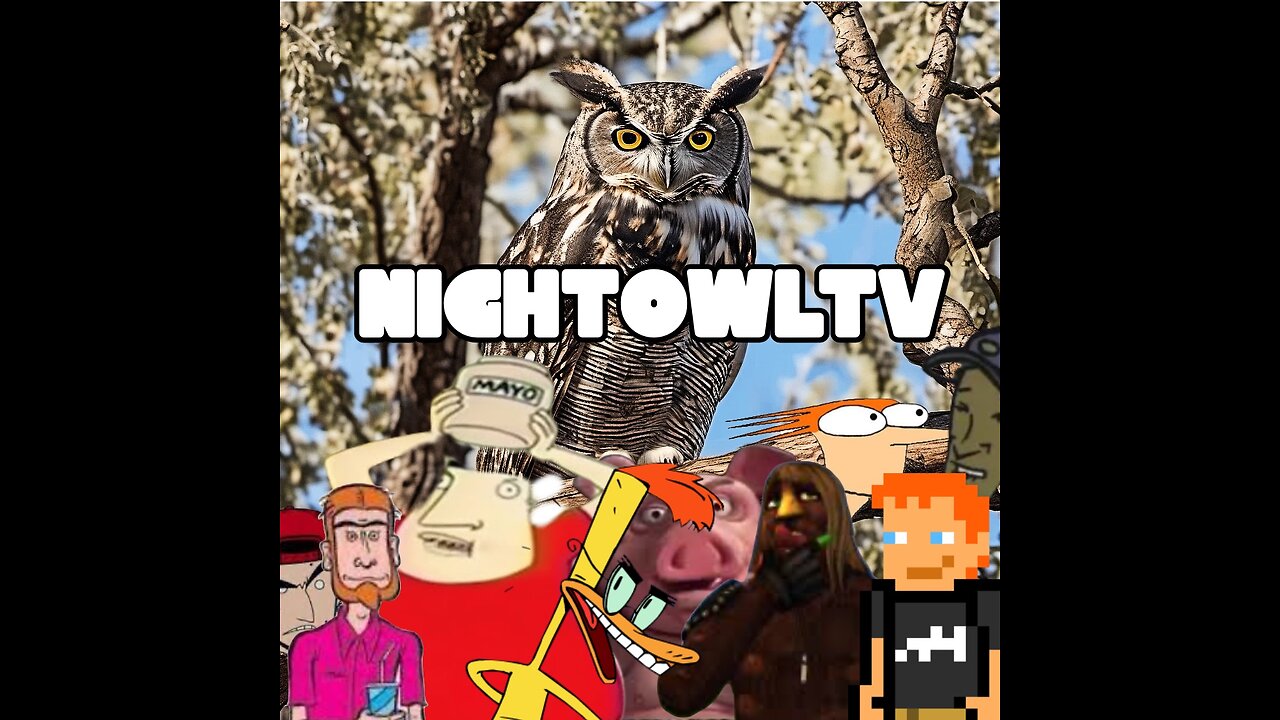 ADULT SWIM / MTV / COMEDY CENTRAL BOOTLEG BROADCAST NIGHTOWLTV #8