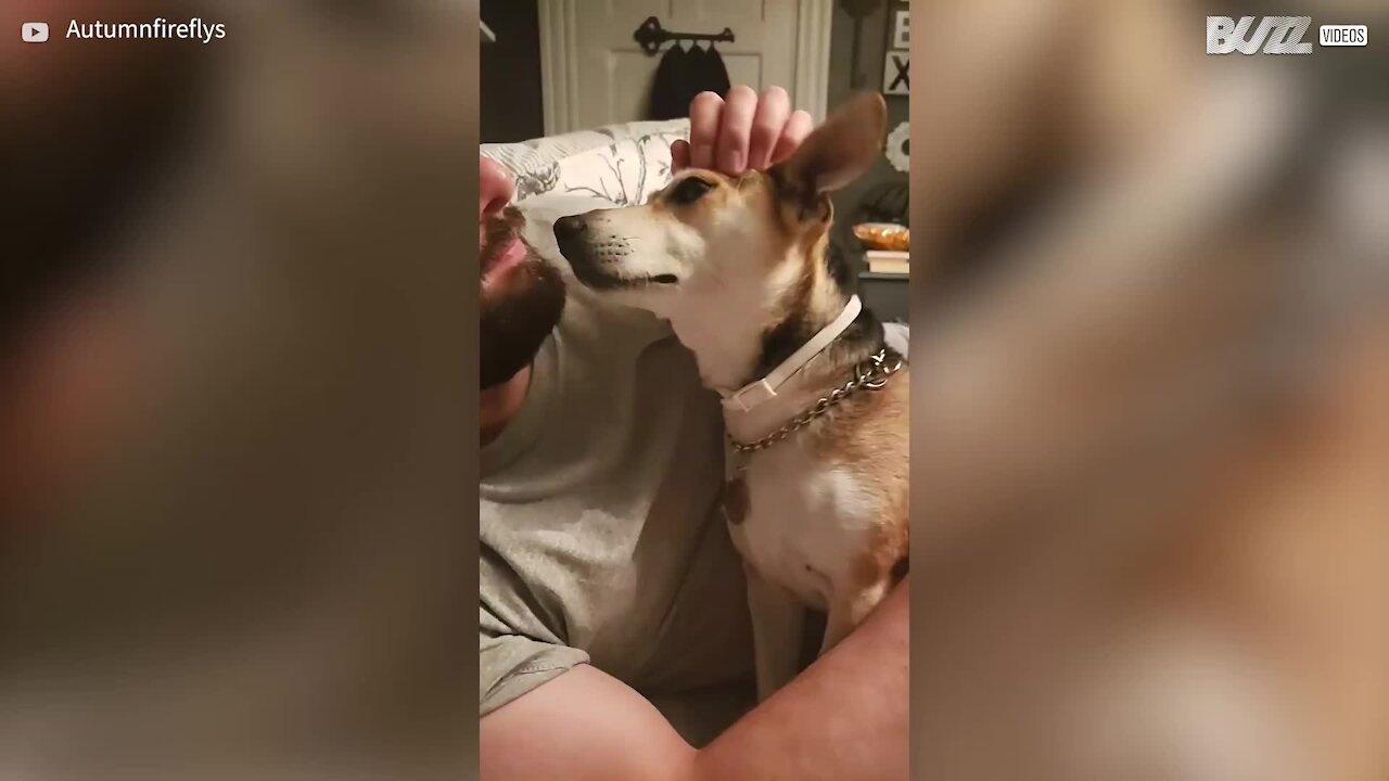 Cette chienne est tombée amoureuse du fiancée de sa maîtresse