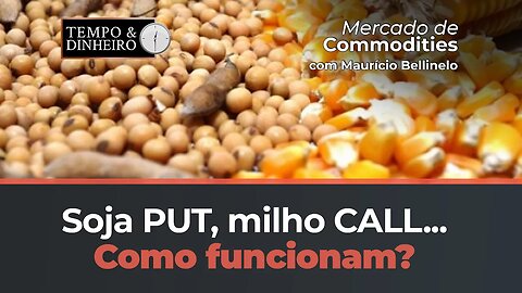 Soja Put , milho call...Como funcionam? Mauricio Belinello explica