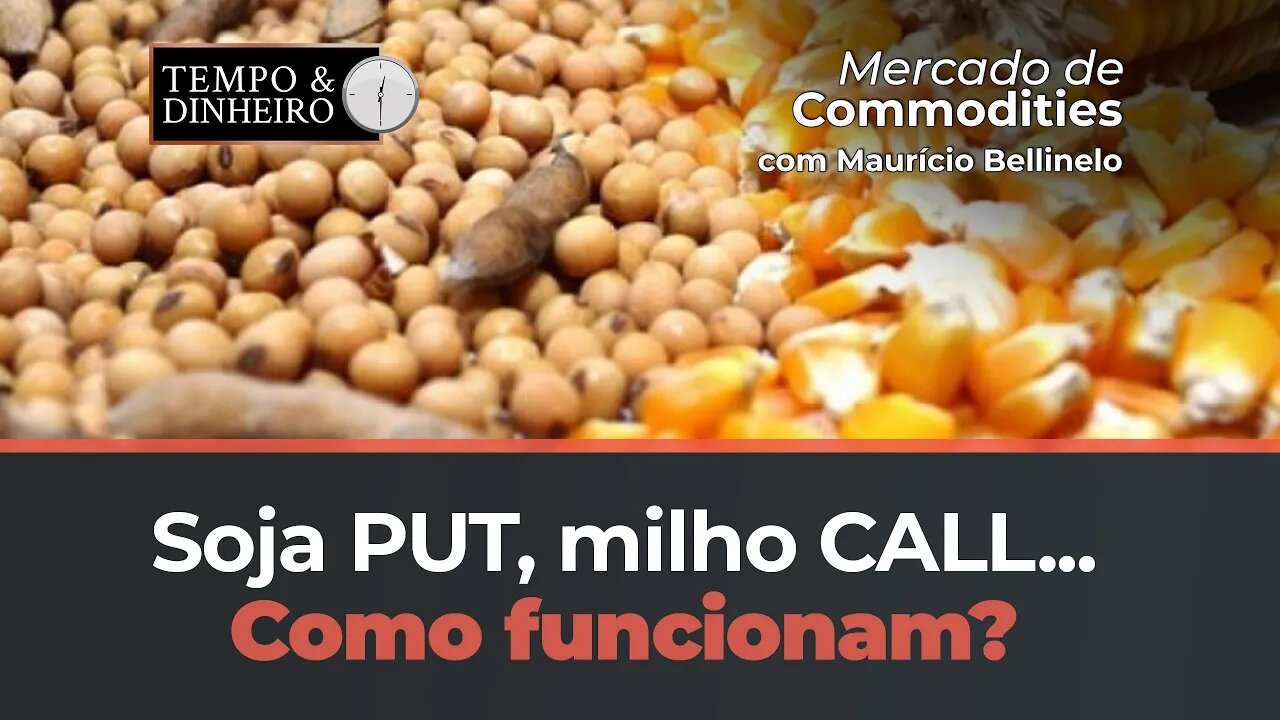 Soja Put , milho call...Como funcionam? Mauricio Belinello explica