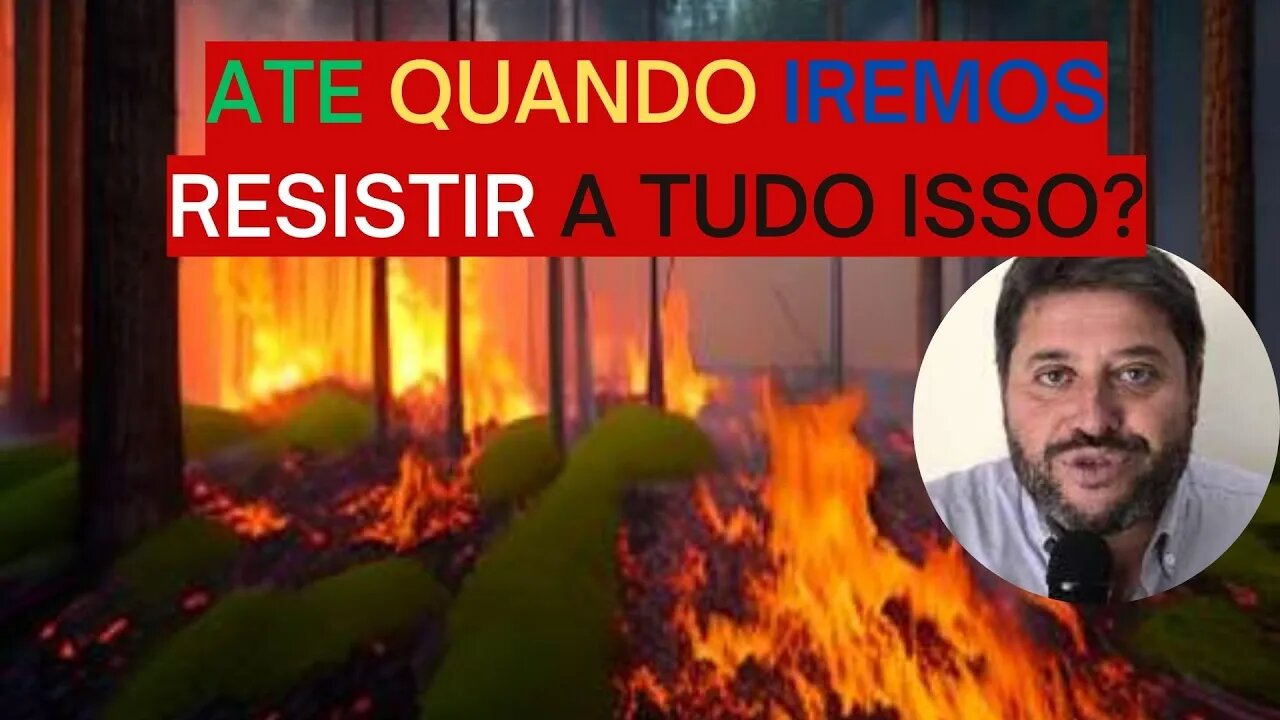 PÁSSAROS AGITADOS NA FLORESTA DE NARNIA-UMA FAÍSCA E O ESTRAGO ESTA FEITO