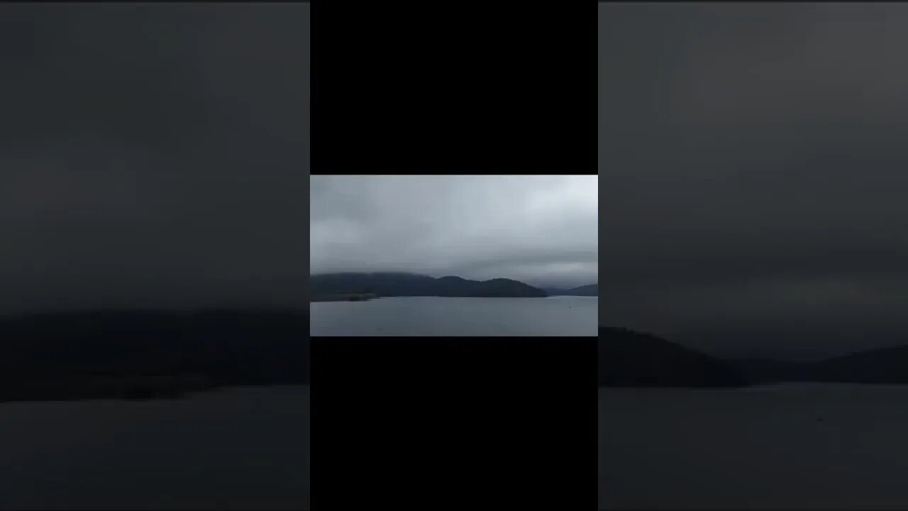 #hinzedam