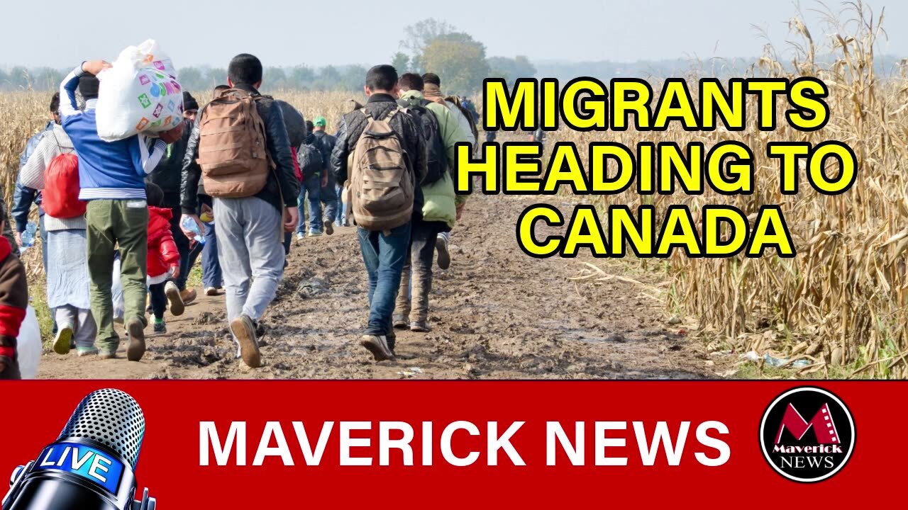 RCMP Bracing For Flood Of Migrants After Trump Victory | Maverick News