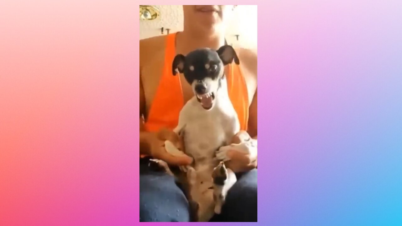 Best Funny Videos | Best Funny Fails | 2022 🤣 Лучшие смешные видео | 2022 🤣 #shorts
