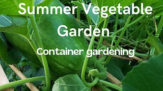 Summer Vegetable Garden #13 #gardening #garden #vegetablegarden