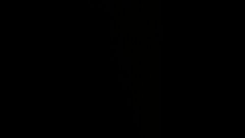 Graphene oxide kills!