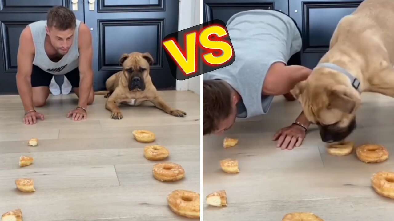 Man vs Dog Eating Challenge