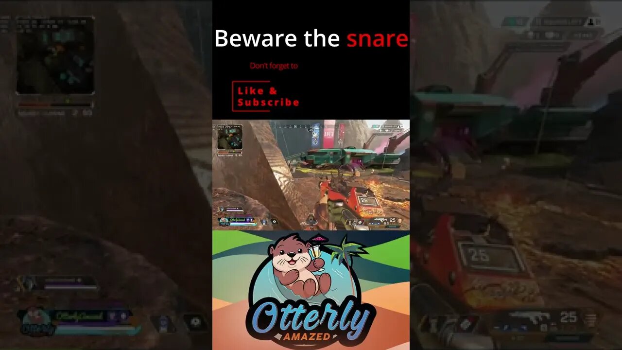 Don't be a snare bear...