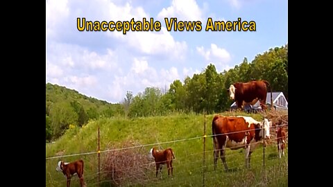Destination MAGA Country