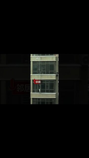 A Dog Hoisted Up and Down During COVID19 Lockdown 疫情期間 小狗被吊下來“方便”