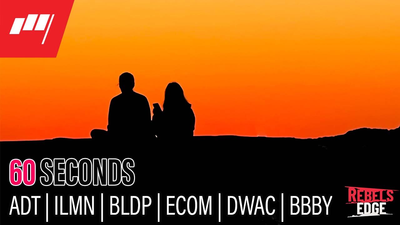 ⏱️60 Seconds $ADT $ILMN $BLDP $ECOM $DWAC $BBBY Rebel's Edge today 1pm 🕐 more @MarketRebels 🏴☠️
