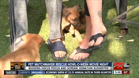 Pet Matchmaker Rescue Howl-O-Ween movie night