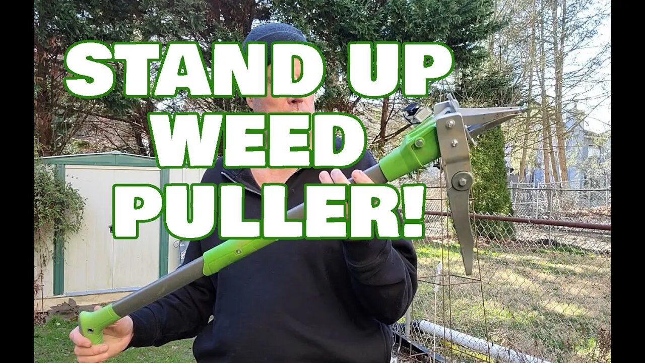 Grootpow Stand Up Weeder, Easy on my back and Kind of Fun