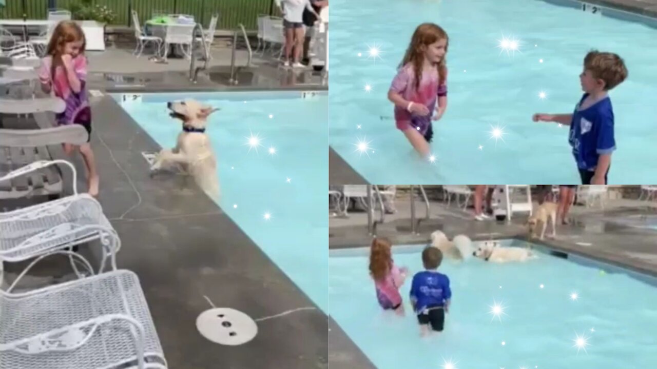 Happy pup is absolutely ecstatic for first pool party