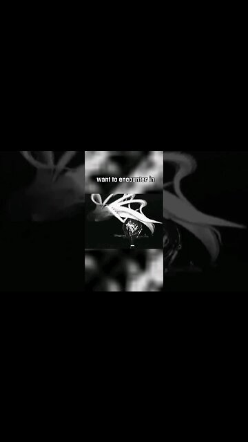 Animals That Were Scarier Than Dinosaurs | Giant squid | terror Bird #shorts