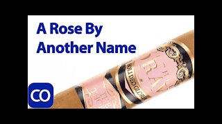 Southern Draw Rose Of Sharon Lancero Cigar Review