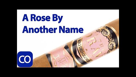 Southern Draw Rose Of Sharon Lancero Cigar Review