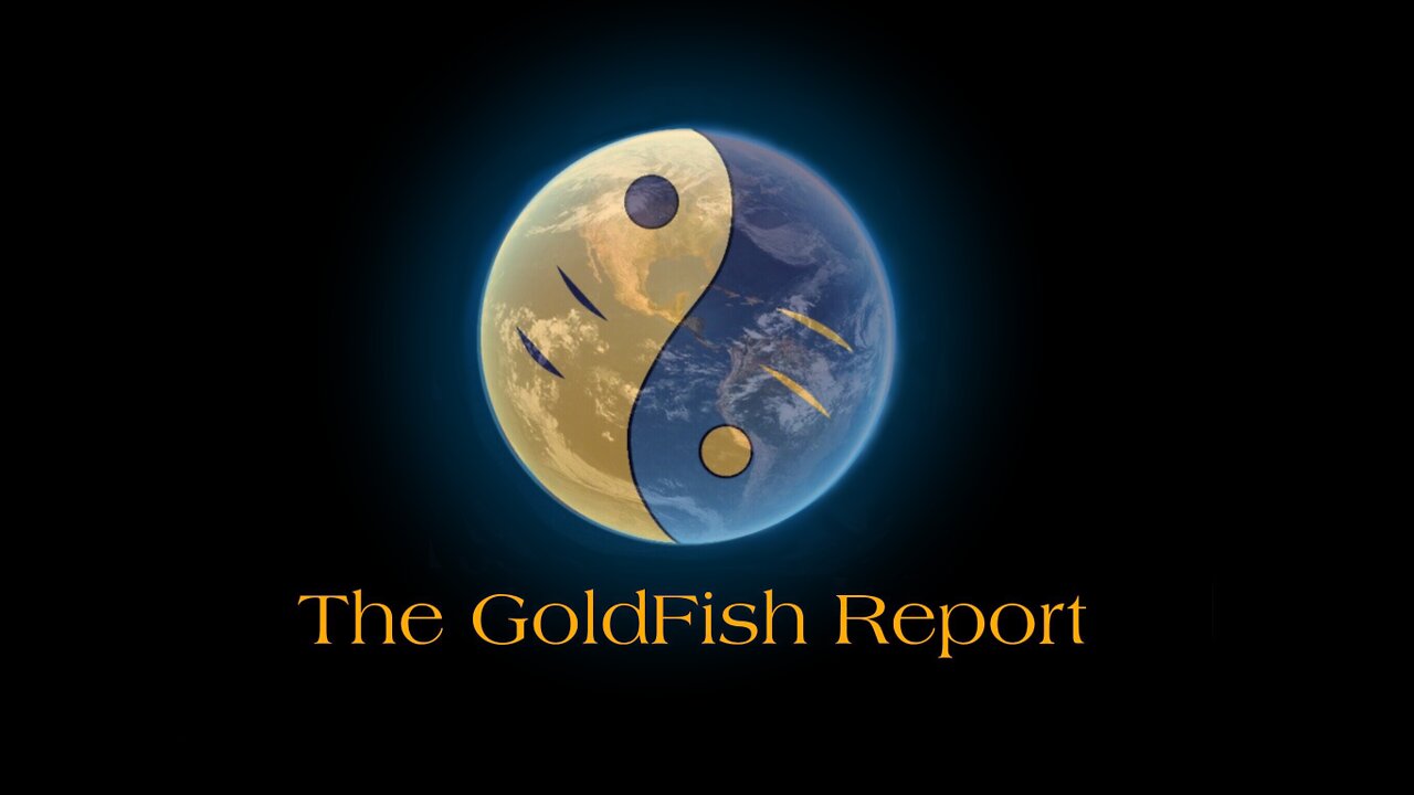 The GoldFish Report No. 833 Filing A Claim Against Public Officials Bonds