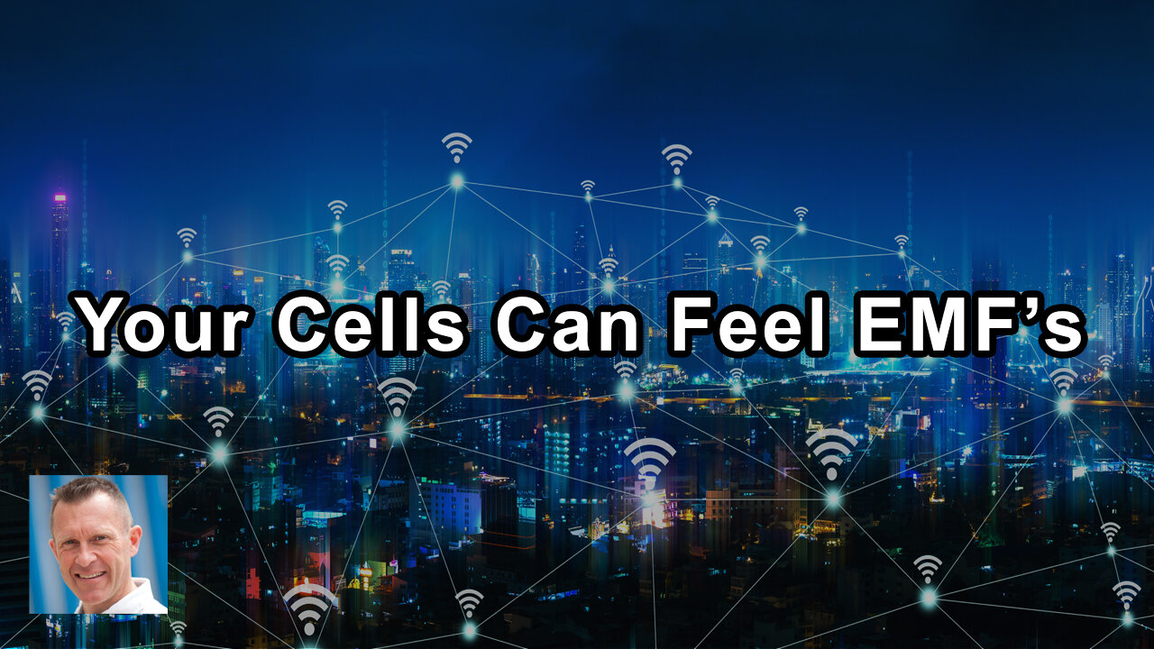 You Might Not Be Able To Feel EMFs, But Your Cells Can Feel It - Lloyd Burrell - Interview