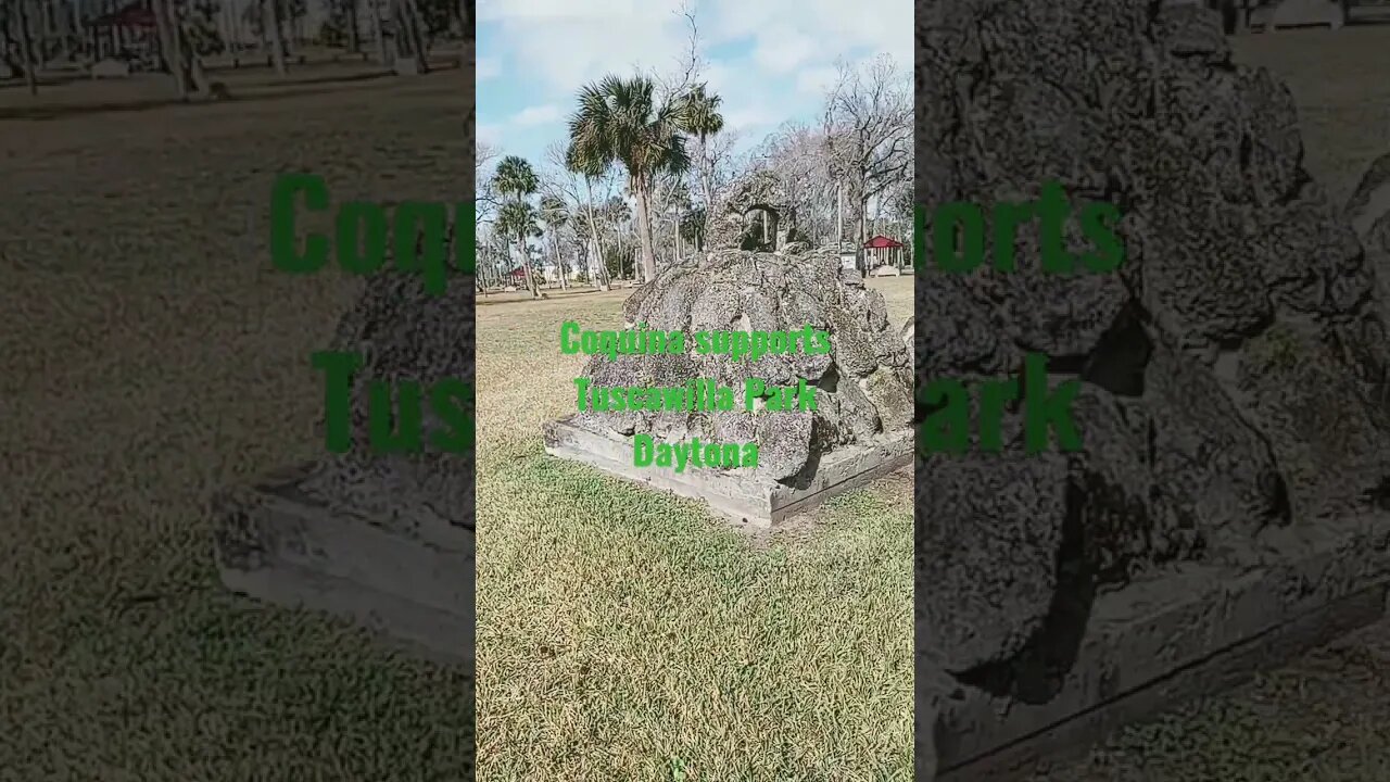 #tuscawillapark #coquina