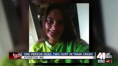 Mother killed, man and child hurt after collision with train