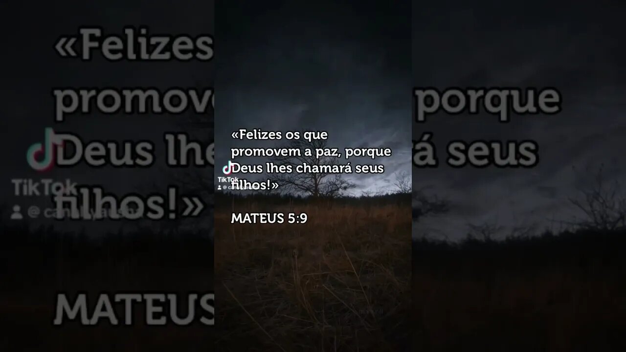 Mateus 5:9 #canalyausha